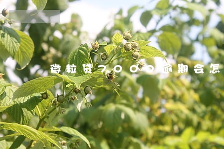 微粒贷7000逾期会怎么样 微粒贷7000逾期会怎么样