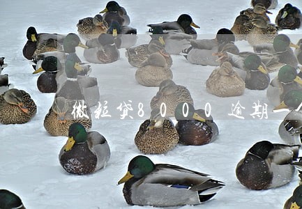 微粒贷8000逾期一个月 微粒贷8000逾期一个月