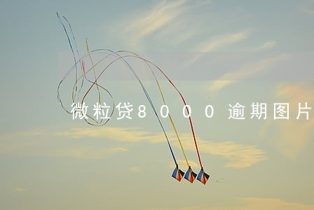 微粒贷8000逾期图片