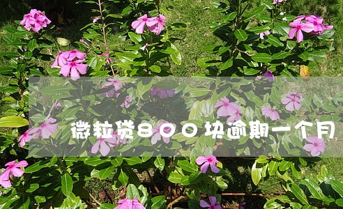 微粒贷800块逾期一个月