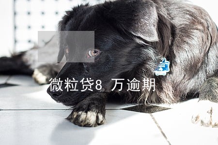 微粒贷8万逾期 微粒贷8万逾期