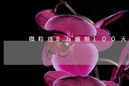 微粒贷8万逾期100天以上
