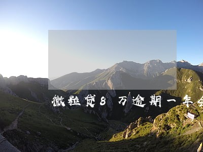 微粒贷8万逾期一年会怎样 微粒贷8万逾期一年会怎样
