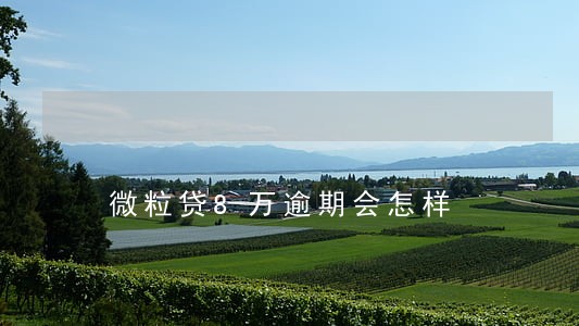 微粒贷8万逾期会怎样 微粒贷8万逾期会怎样