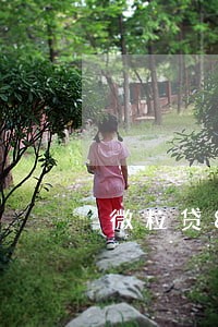 微粒贷8万逾期坐牢 微粒贷8万逾期坐牢
