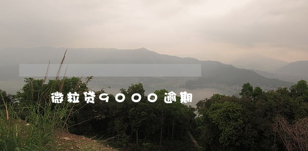 微粒贷9000逾期 微粒贷9000逾期