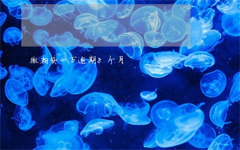 微粒贷一万逾期8个月