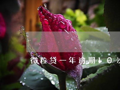 微粒贷一年逾期10次 微粒贷一年逾期10次