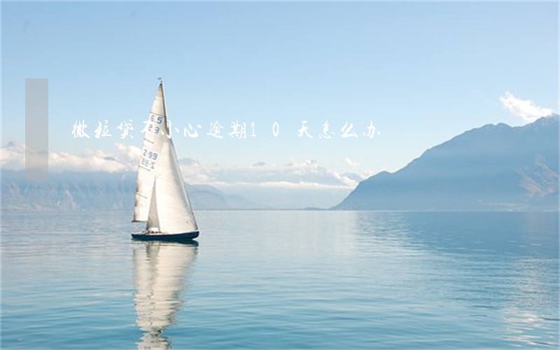 微粒贷不小心逾期10天怎么办 微粒贷不小心逾期10天怎么办