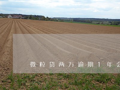 微粒贷两万逾期1年会怎么样 微粒贷两万逾期1年会怎么样