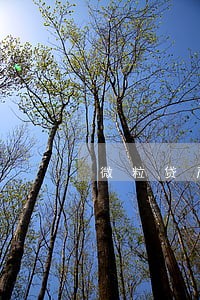 微粒贷严重逾期3年了 微粒贷严重逾期3年了