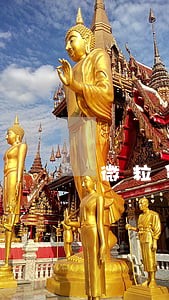 微粒贷价款逾期302天 微粒贷价款逾期302天