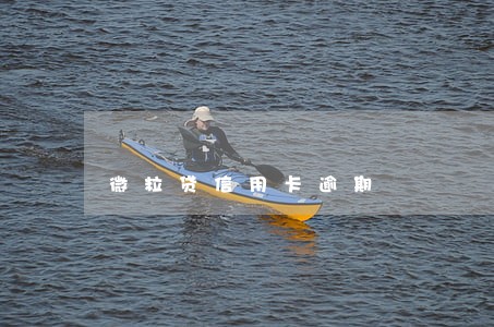 微粒贷信用卡逾期 微粒贷信用卡逾期