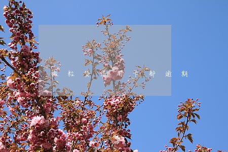 微粒贷信用卡都逾期 微粒贷信用卡都逾期