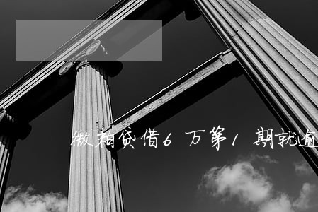 微粒贷借6万第1期就逾期 微粒贷借6万第1期就逾期