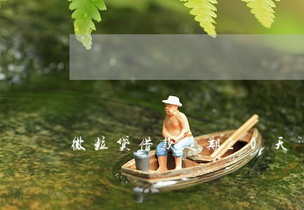 微粒贷借款逾期20天 微粒贷借款逾期20天