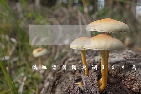 微粒贷借钱逾期304天怎么办 微粒贷借钱逾期304天怎么办