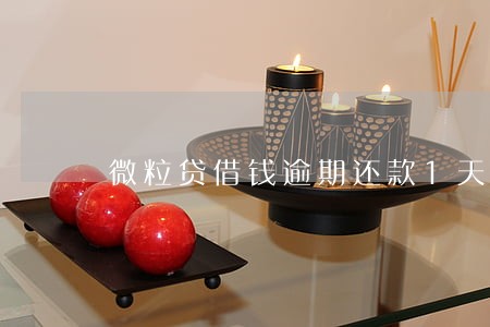 微粒贷借钱逾期还款1天