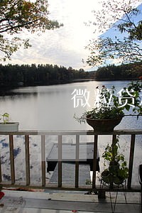 微粒贷和信用卡逾期哪个严重 微粒贷和信用卡逾期哪个严重