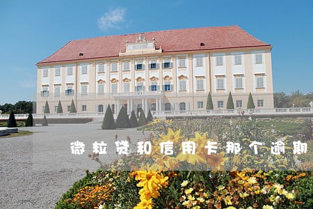 微粒贷和信用卡那个逾期严重