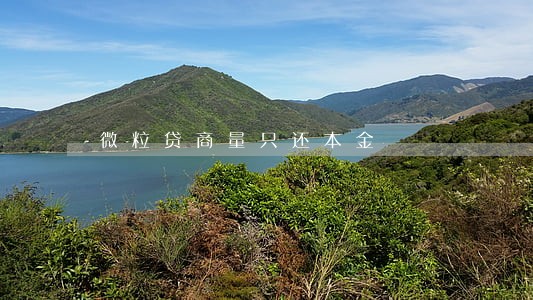 微粒贷商量只还本金 微粒贷商量只还本金