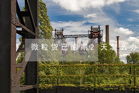微粒贷已逾期2天怎么办 微粒贷已逾期2天怎么办