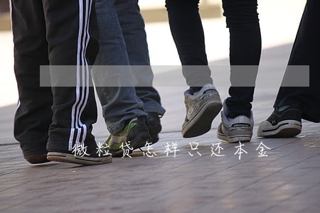 微粒贷怎样只还本金 微粒贷怎样只还本金