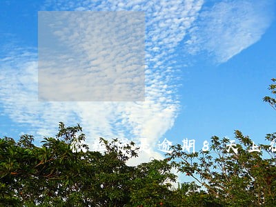 微粒贷是逾期8天上征信嘛 微粒贷是逾期8天上征信嘛