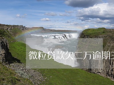 微粒贷款欠二万逾期三个月
