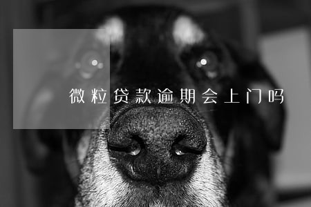 微粒贷款逾期会上门吗 微粒贷款逾期会上门吗