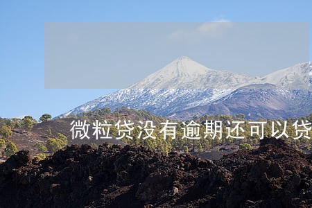 微粒贷没有逾期还可以贷款 微粒贷没有逾期还可以贷款