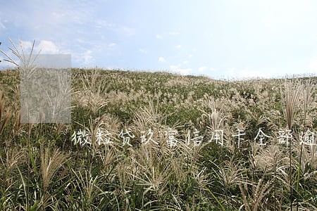 微粒贷玖富信用卡全部逾期6 微粒贷玖富信用卡全部逾期6