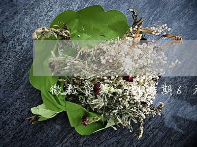 微粒贷第一期逾期6天 微粒贷第一期逾期6天