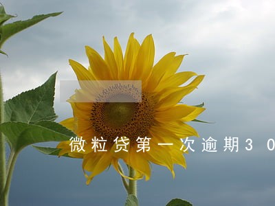 微粒贷第一次逾期30 微粒贷第一次逾期30