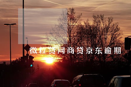 微粒贷网商贷京东逾期 微粒贷网商贷京东逾期
