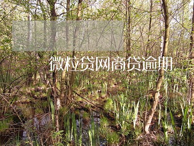 微粒贷网商贷逾期