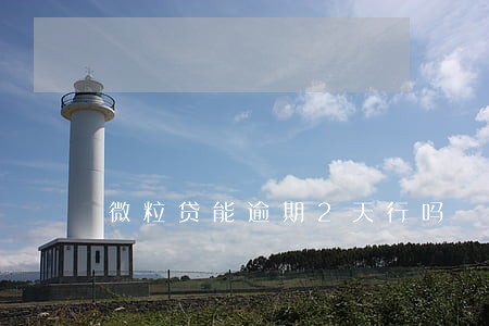 微粒贷能逾期2天行吗 微粒贷能逾期2天行吗