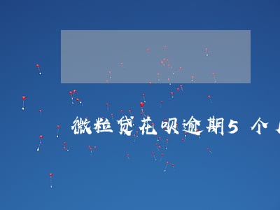 微粒贷花呗逾期5个月 微粒贷花呗逾期5个月