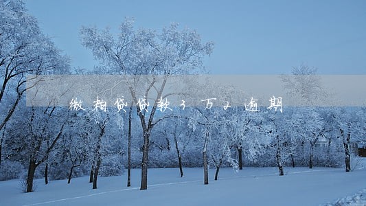 微粒贷贷款3万2逾期 微粒贷贷款3万2逾期