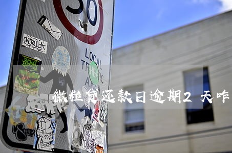 微粒贷还款日逾期2天咋还不起