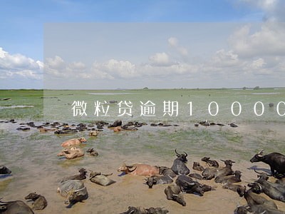 微粒贷逾期10000 微粒贷逾期10000