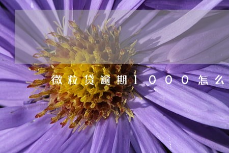 微粒贷逾期1000怎么算利息 微粒贷逾期1000怎么算利息