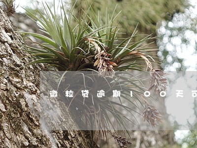 微粒贷逾期100天可以坐高铁吗 微粒贷逾期100天可以坐高铁吗
