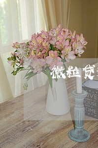 微粒贷逾期100天后还能再借吗 微粒贷逾期100天后还能再借吗