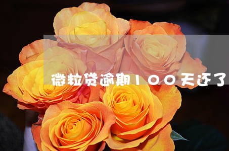微粒贷逾期100天还了怎么办 微粒贷逾期100天还了怎么办