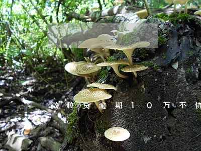 微粒贷逾期10万不协商