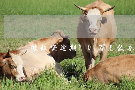 微粒贷逾期10万怎么办 微粒贷逾期10万怎么办