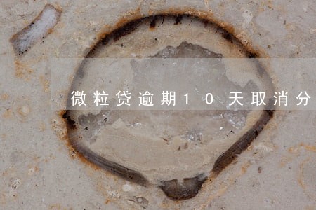 微粒贷逾期10天取消分期 微粒贷逾期10天取消分期