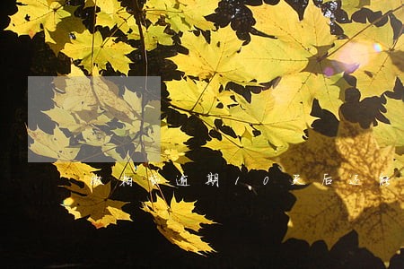 微粒贷逾期10天后还能借吗
