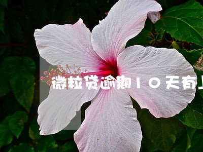 微粒贷逾期10天有上门的嘛 微粒贷逾期10天有上门的嘛